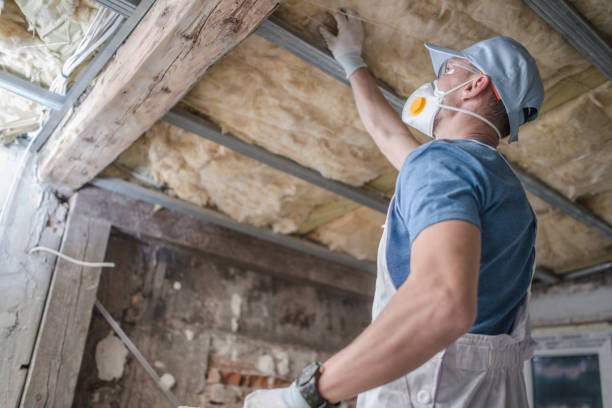 Best Specialized Insulation Services in Smyrna, GA