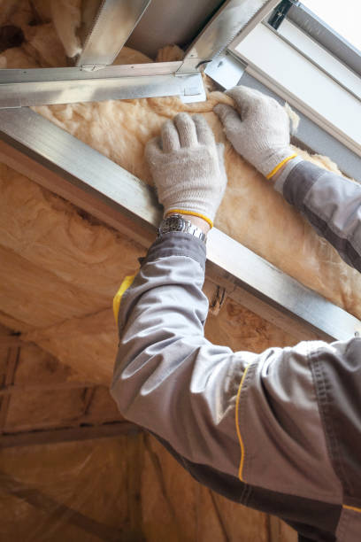Best Commercial Insulation in Smyrna, GA